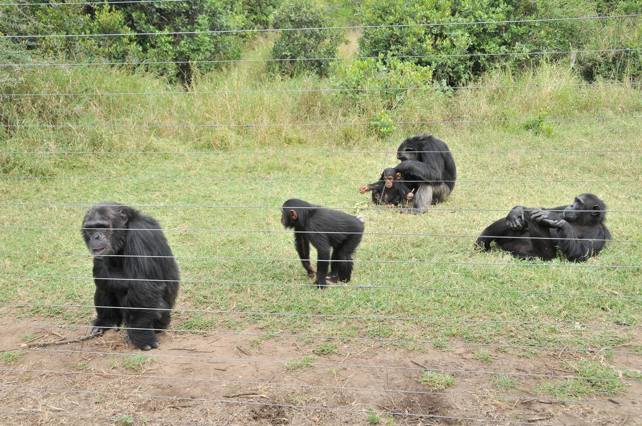 Sweetwaters Serena Camp แนนยูกี ภายนอก รูปภาพ