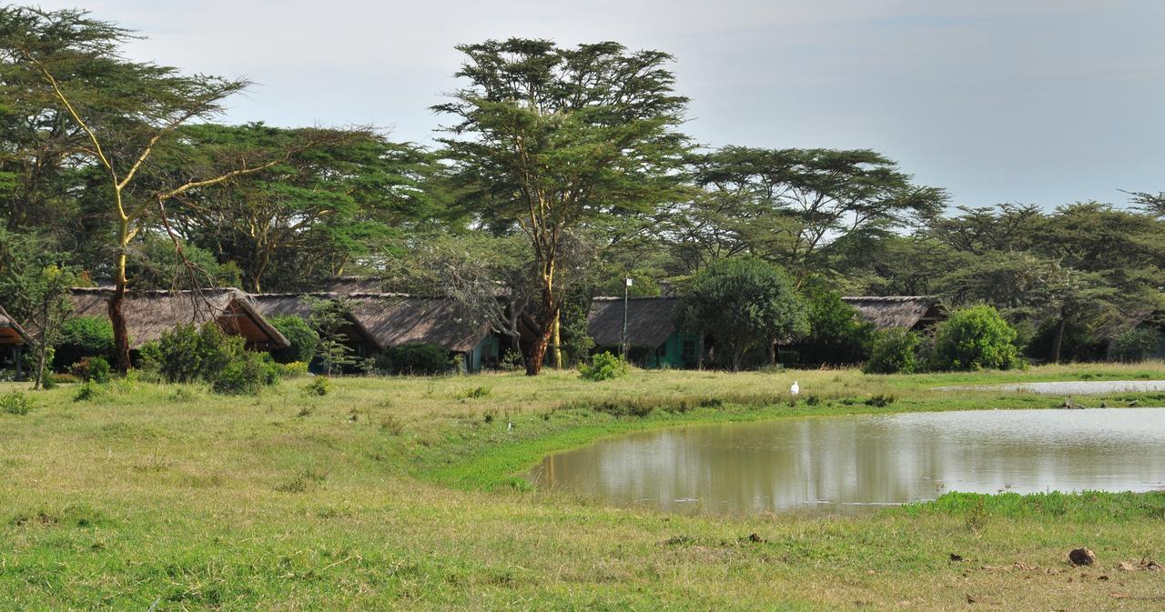 Sweetwaters Serena Camp แนนยูกี ภายนอก รูปภาพ