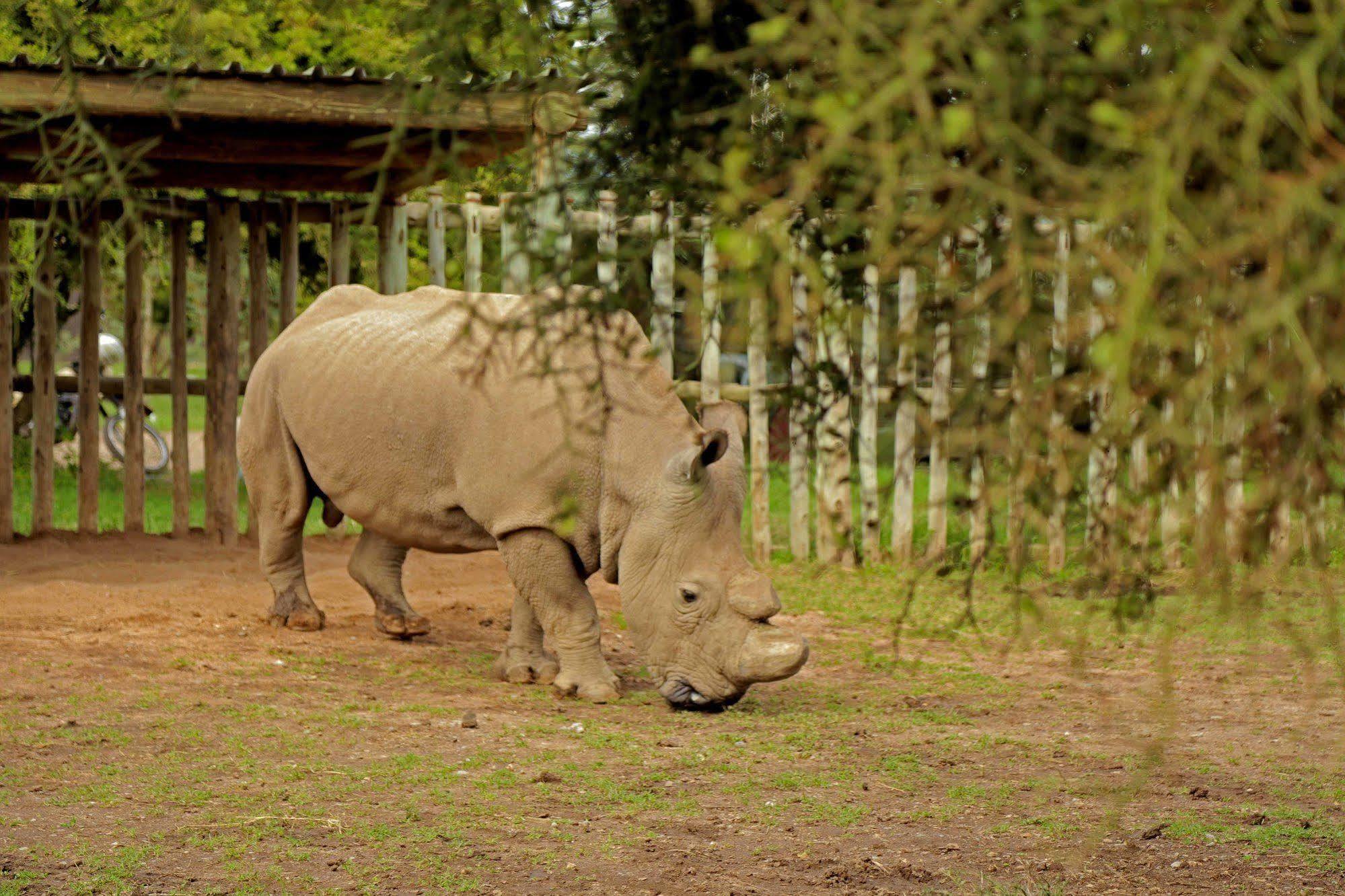 Sweetwaters Serena Camp แนนยูกี ภายนอก รูปภาพ